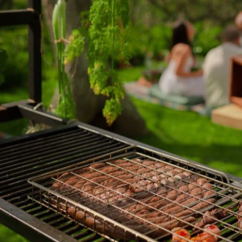 Heritage Day Braai Picnic at Hazendal