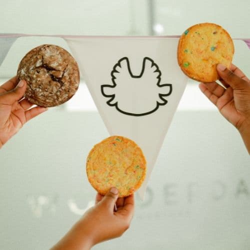 Cookies & Curiosity at Wonderdal