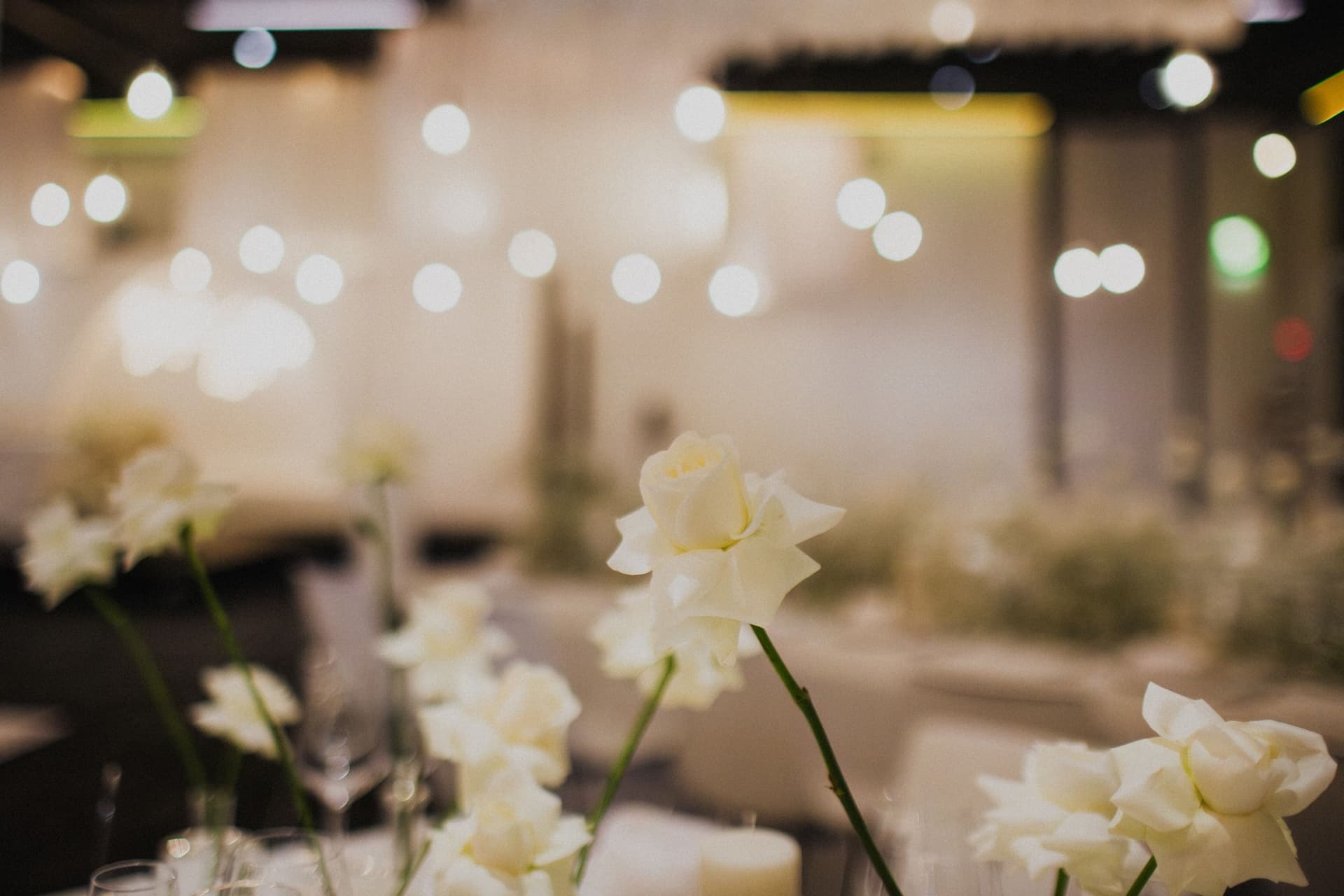 celebrations & Events