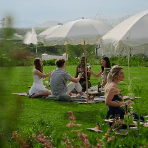 SPRING PICNICS